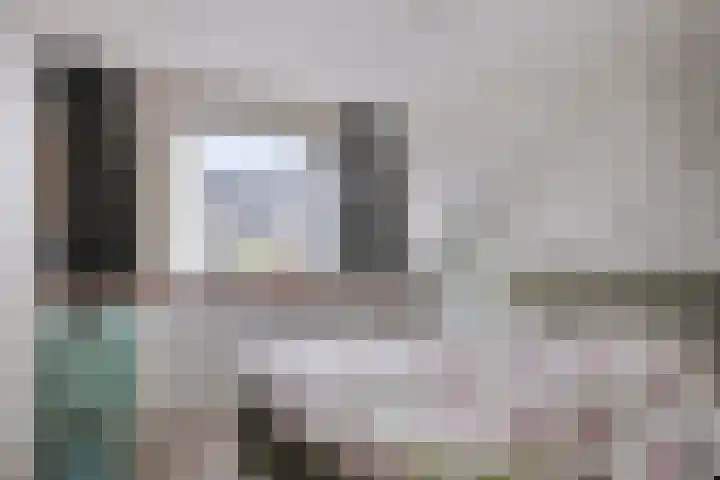 Pepermolenerf 23 Gouda thumbnail 12