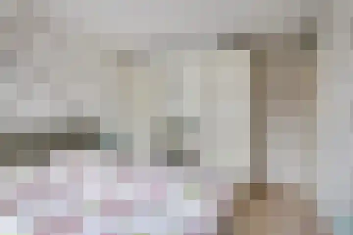 Pepermolenerf 23 Gouda thumbnail 13