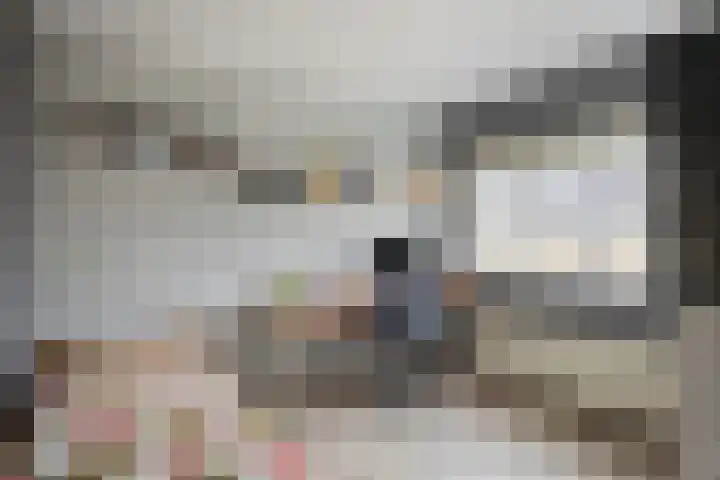 Pepermolenerf 23 Gouda thumbnail 14