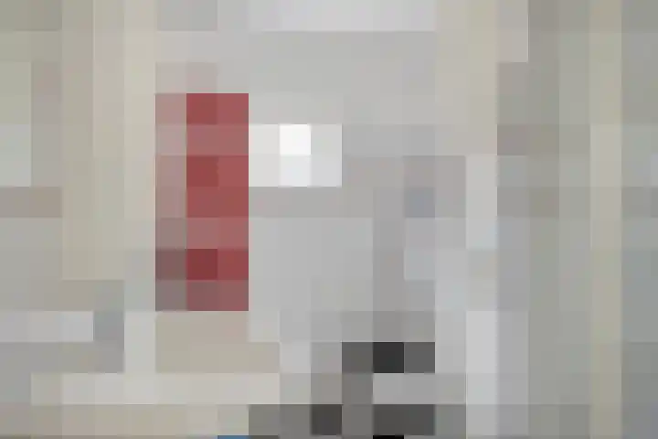 Pepermolenerf 23 Gouda thumbnail 15