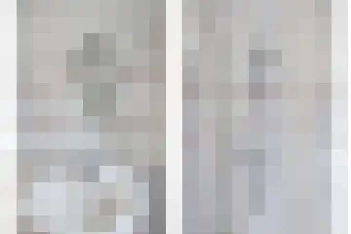 Pepermolenerf 23 Gouda thumbnail 16
