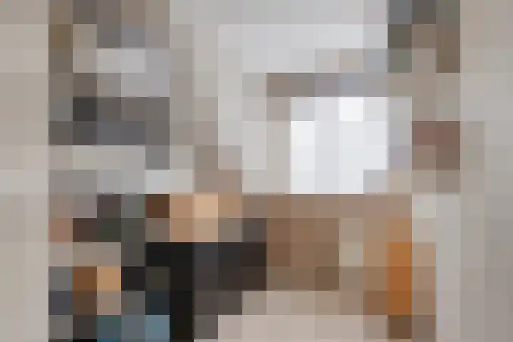 Pepermolenerf 23 Gouda thumbnail 17