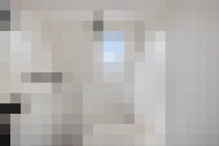Pepermolenerf 23 Gouda thumbnail 18