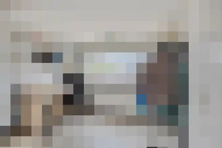 Pepermolenerf 23 Gouda thumbnail 19