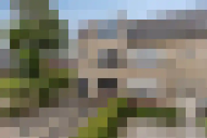 Pepermolenerf 23 Gouda thumbnail 20