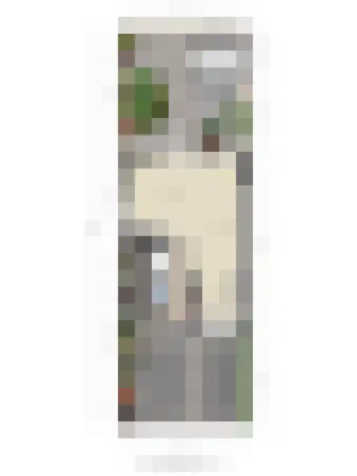 Pepermolenerf 23 Gouda thumbnail 23