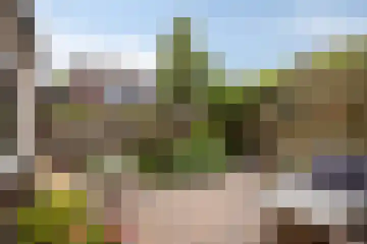 Pepermolenerf 23 Gouda thumbnail 7