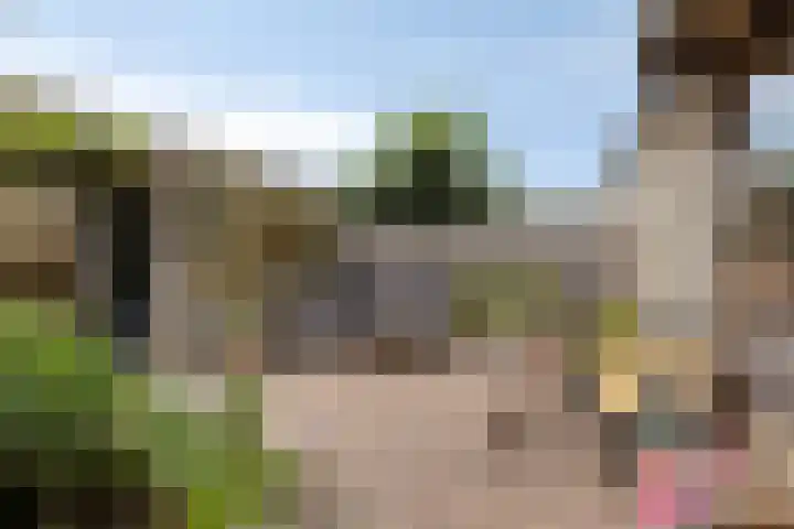Pepermolenerf 23 Gouda thumbnail 8
