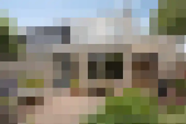 Pepermolenerf 23 Gouda thumbnail 9