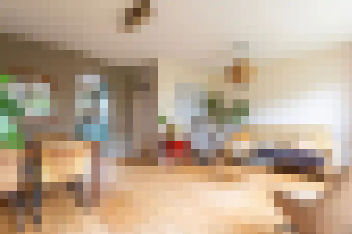 Pepermolenerf 35 Gouda thumbnail 10