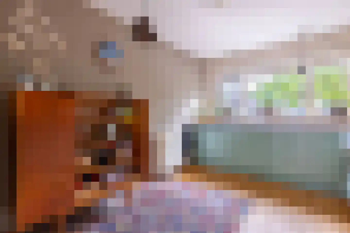 Pepermolenerf 35 Gouda thumbnail 15