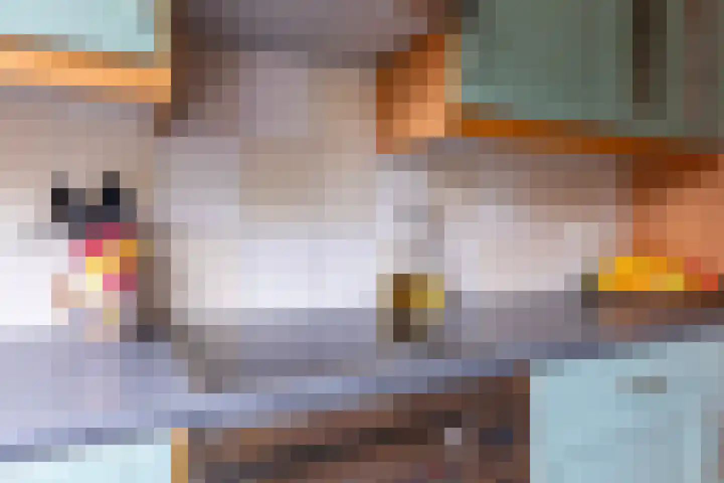 Pepermolenerf 35 Gouda thumbnail 18