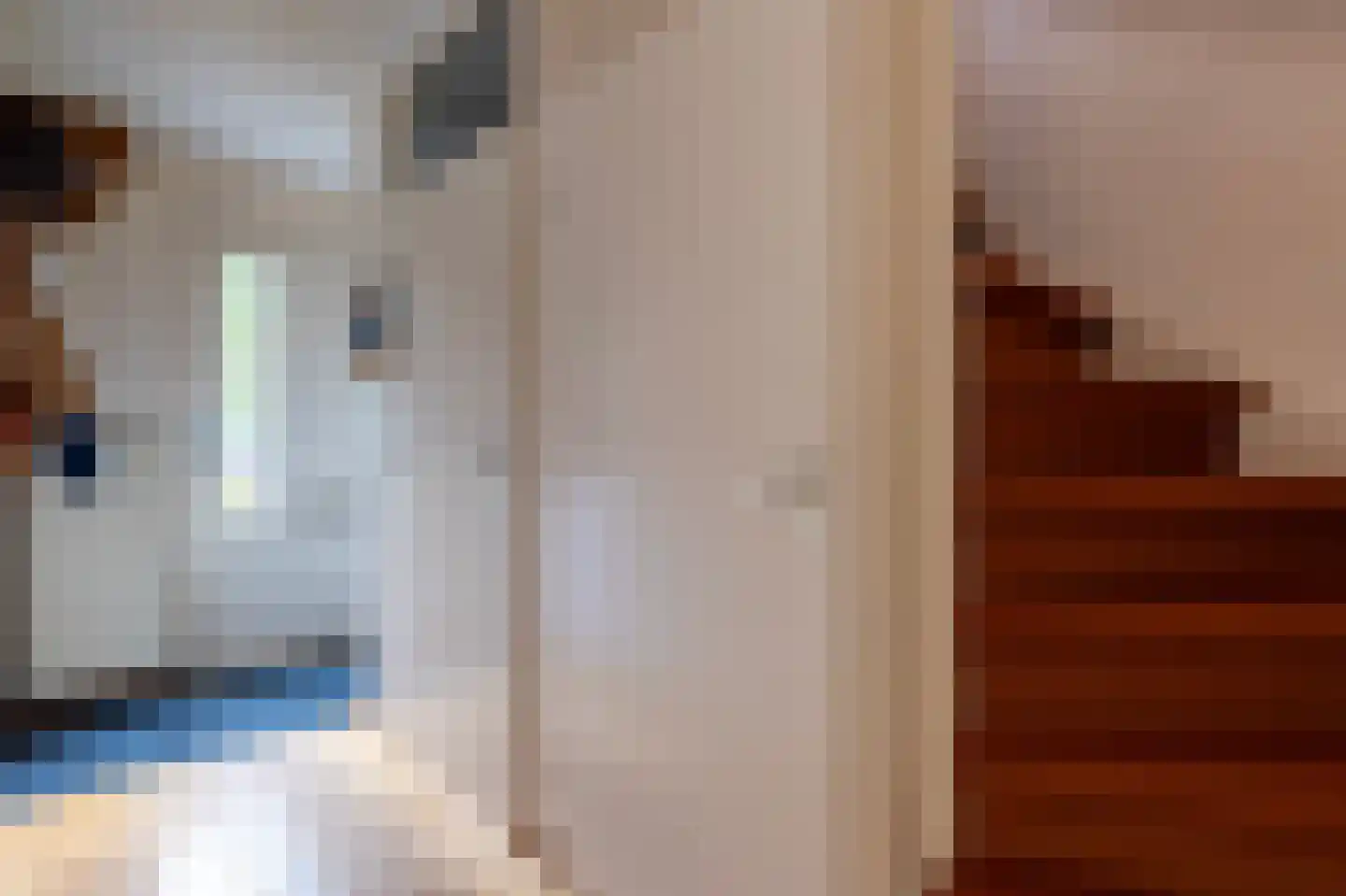 Pepermolenerf 35 Gouda thumbnail 20