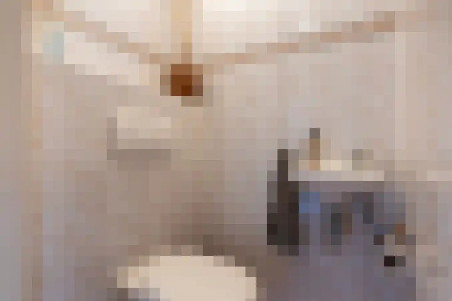 Pepermolenerf 35 Gouda thumbnail 21