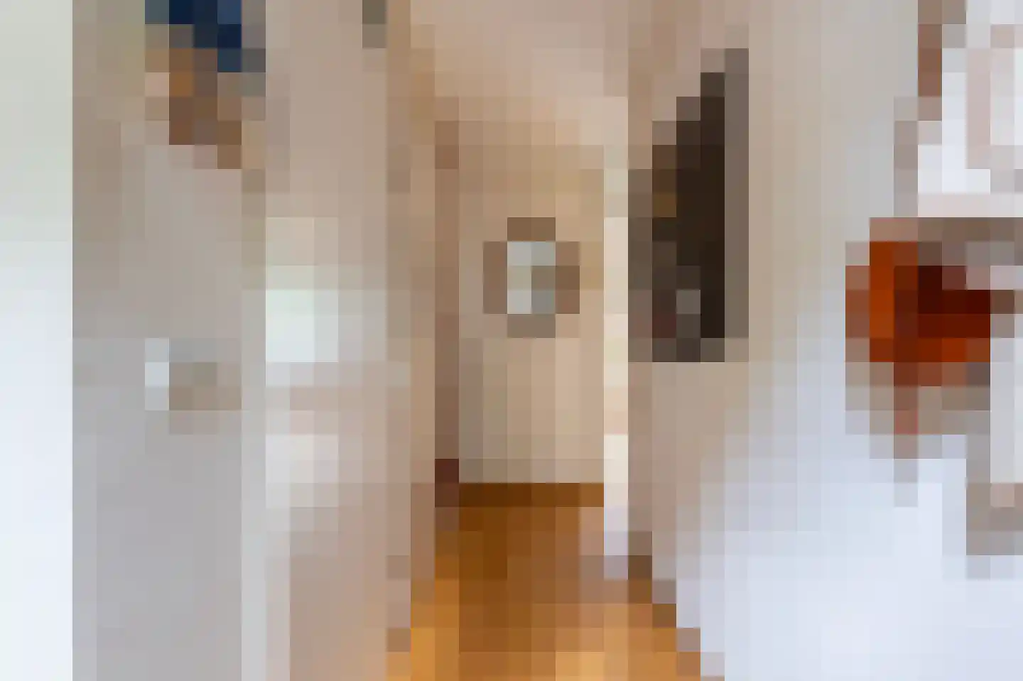 Pepermolenerf 35 Gouda thumbnail 22