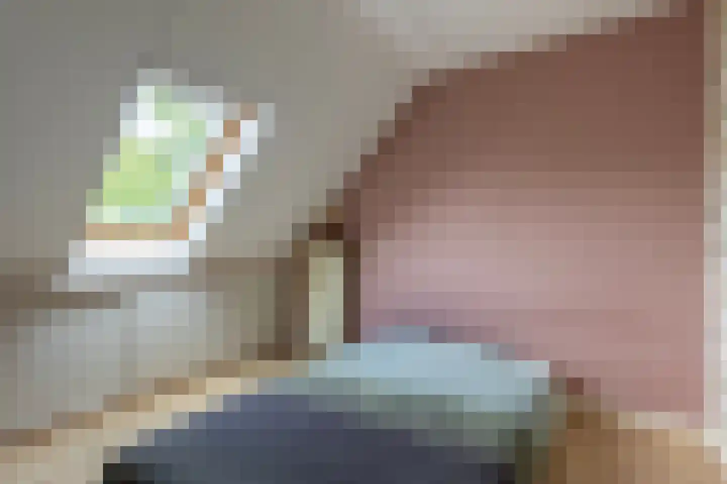 Pepermolenerf 35 Gouda thumbnail 24
