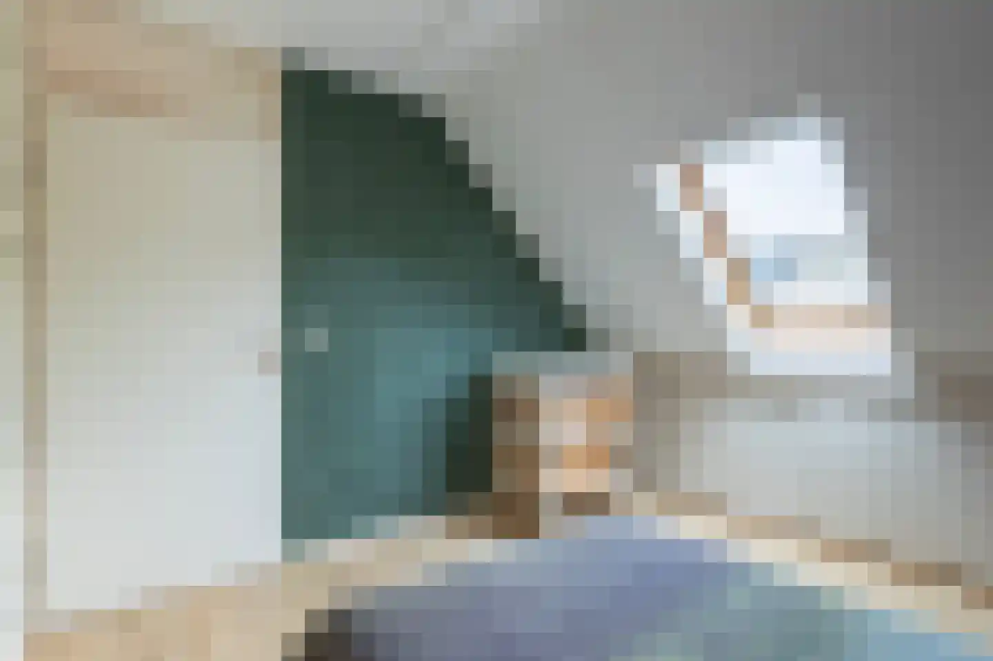Pepermolenerf 35 Gouda thumbnail 25