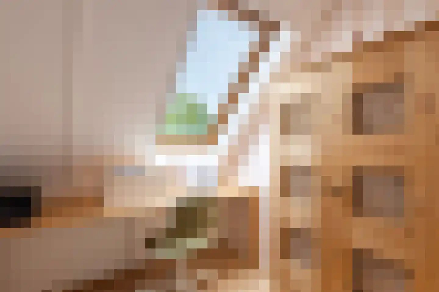 Pepermolenerf 35 Gouda thumbnail 33