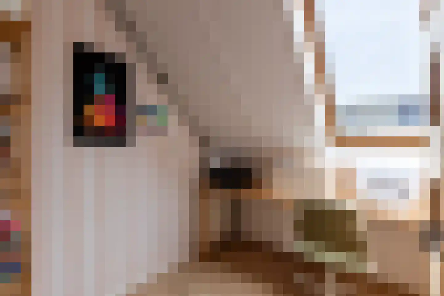Pepermolenerf 35 Gouda thumbnail 34