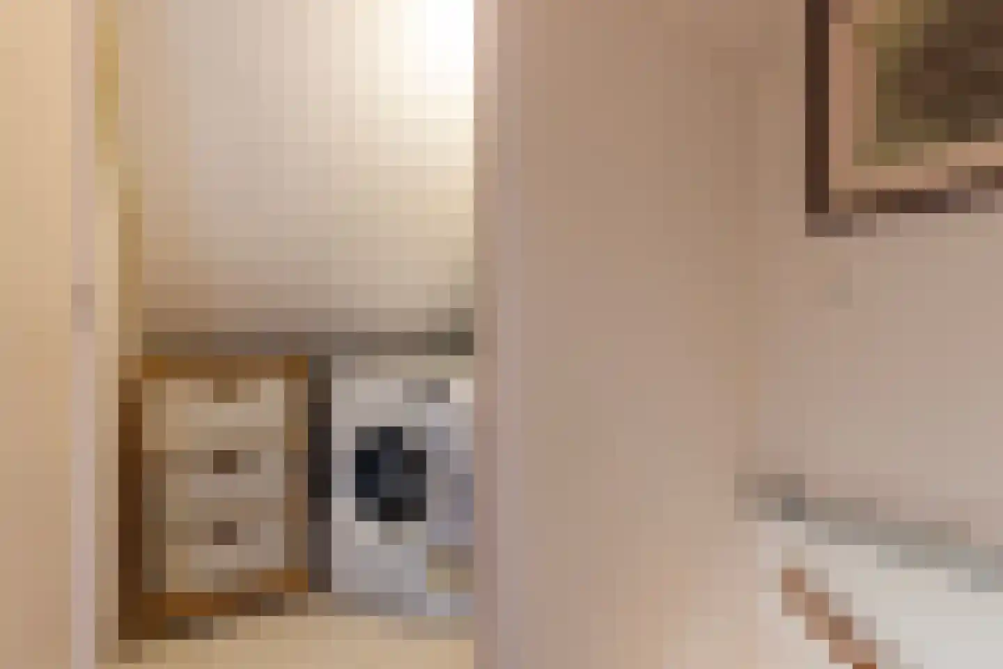 Pepermolenerf 35 Gouda thumbnail 41