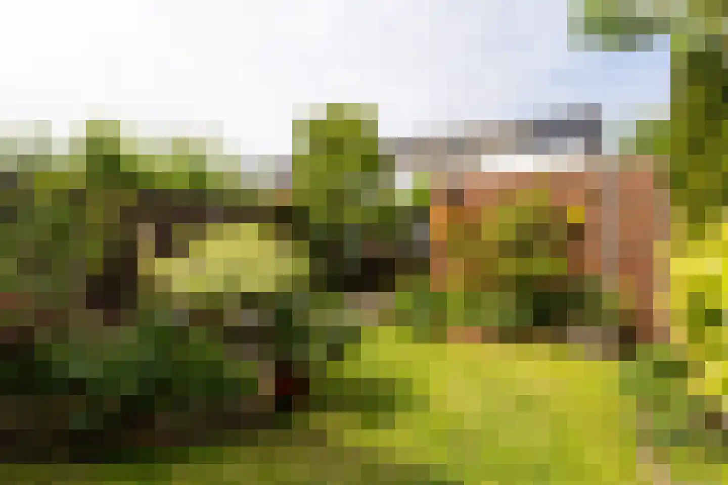 Pepermolenerf 35 Gouda thumbnail 44