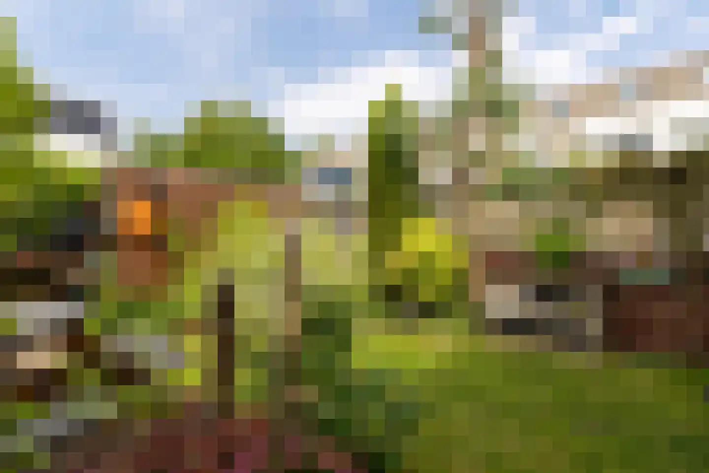 Pepermolenerf 35 Gouda thumbnail 45