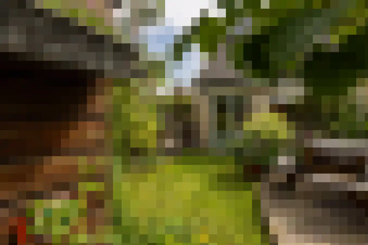 Pepermolenerf 35 Gouda thumbnail 47