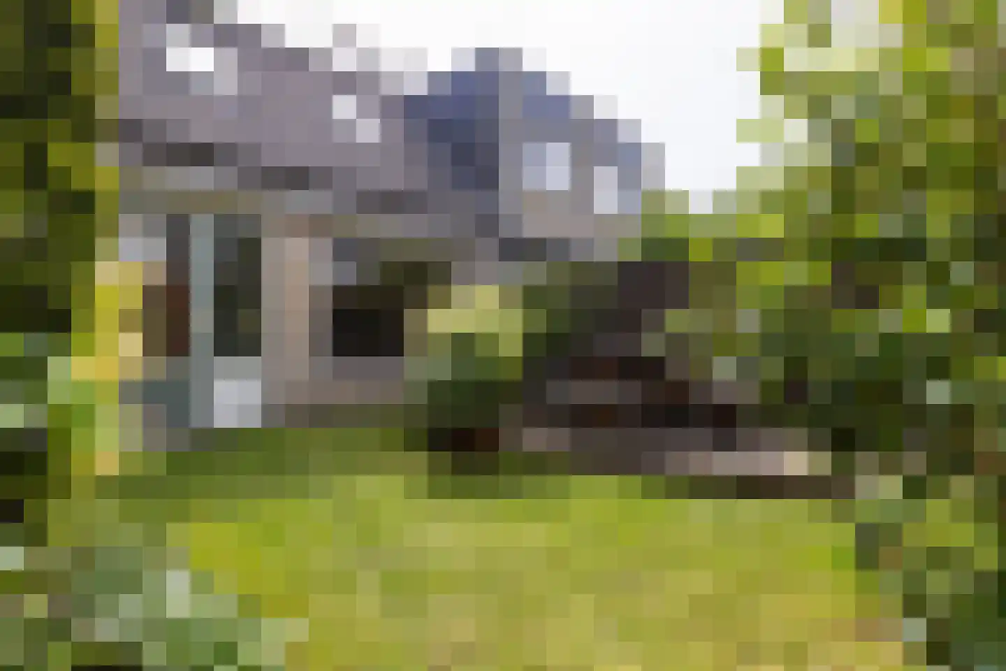 Pepermolenerf 35 Gouda thumbnail 48