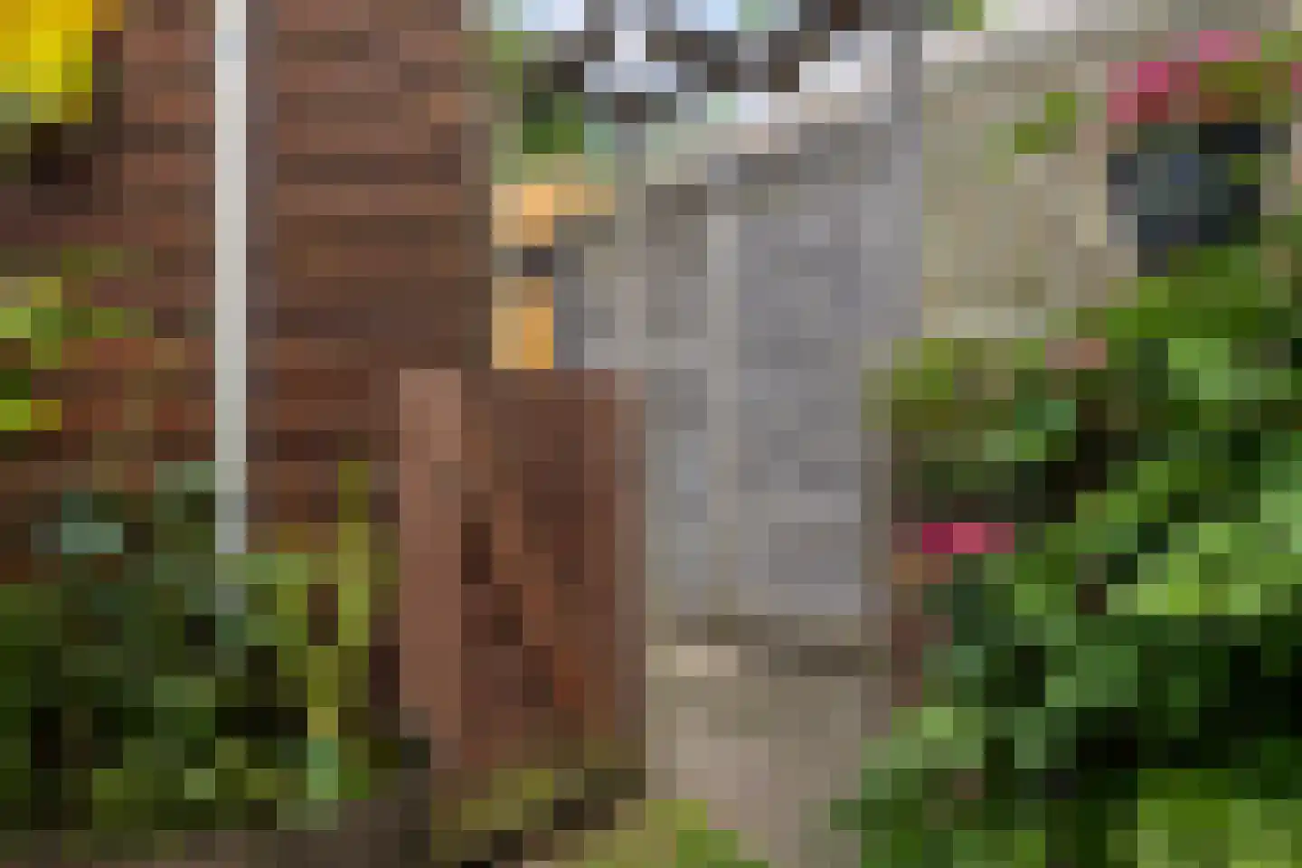 Pepermolenerf 35 Gouda thumbnail 50