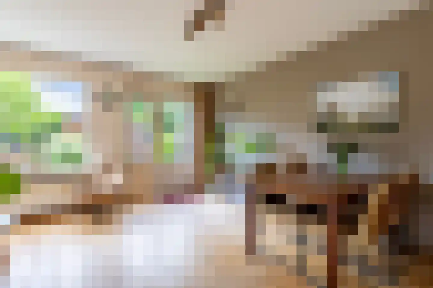 Pepermolenerf 35 Gouda thumbnail 8