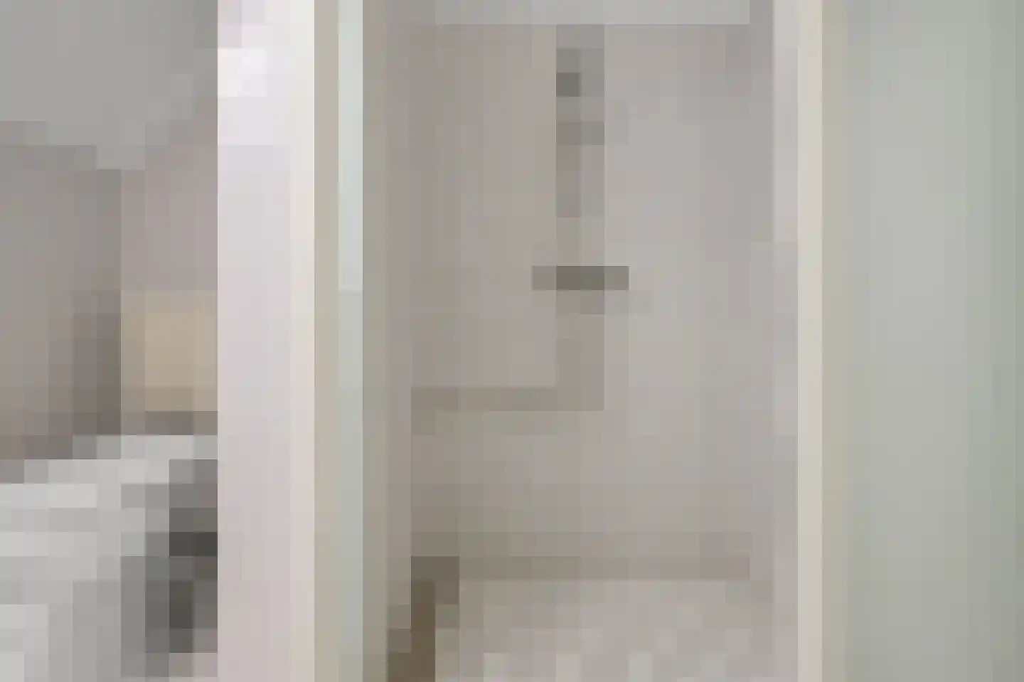 Pepermolenerf 46 Gouda thumbnail 13