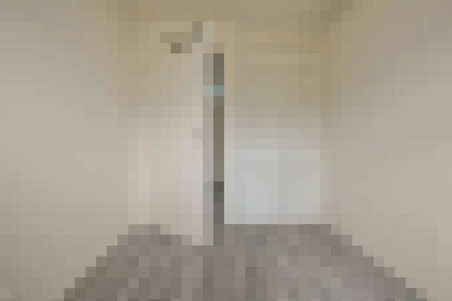 Pepermolenerf 46 Gouda thumbnail 21