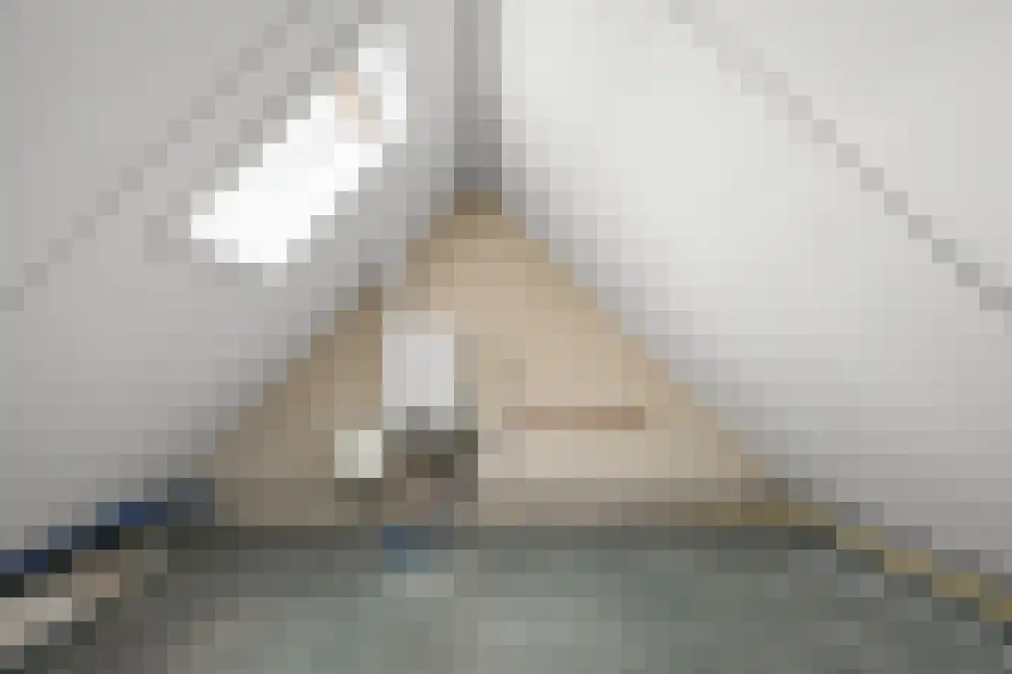 Pepermolenerf 46 Gouda thumbnail 25