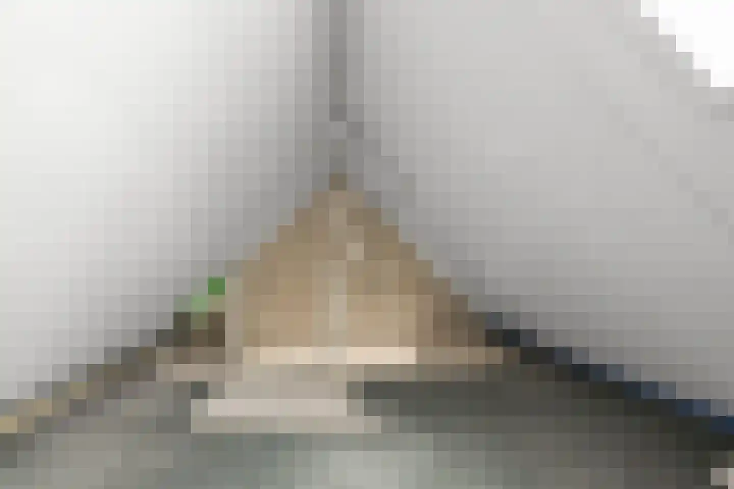 Pepermolenerf 46 Gouda thumbnail 26
