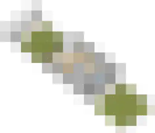 Pepermolenerf 46 Gouda thumbnail 39