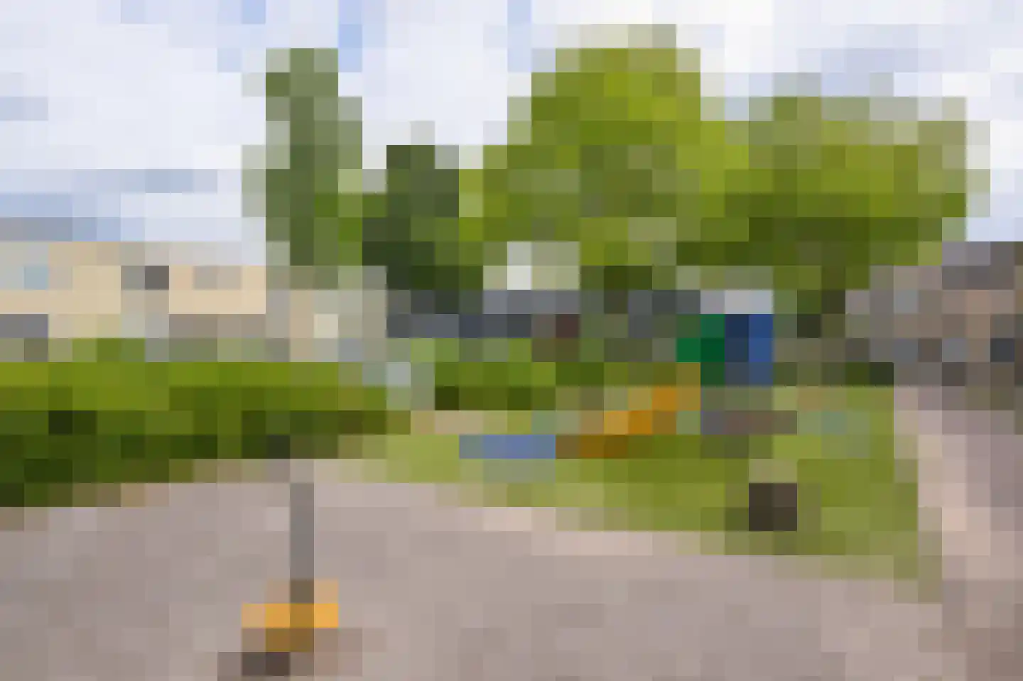 Pepermolenerf 46 Gouda thumbnail 9