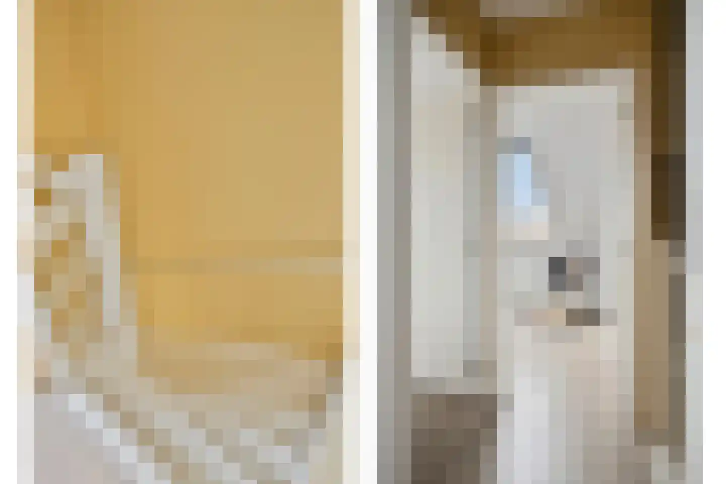 Pepermuntstraat 10 Heinkenszand thumbnail 37