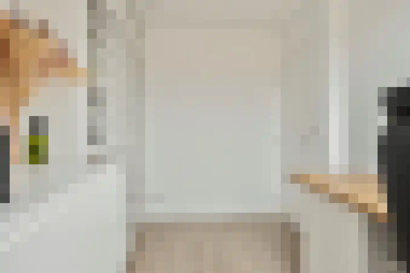 Pepermuntstraat 10 Heinkenszand thumbnail 41