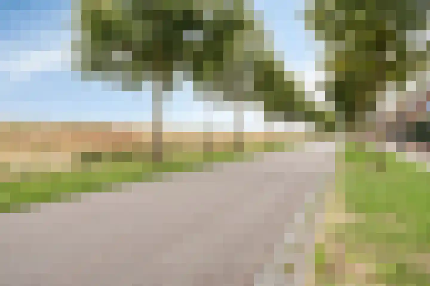 Pepermuntstraat 10 Heinkenszand thumbnail 45
