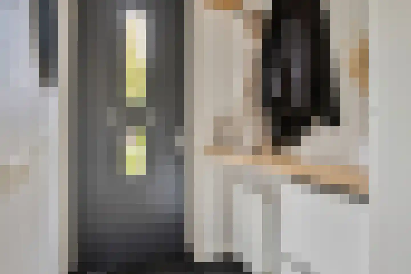 Pepermuntstraat 10 Heinkenszand thumbnail 5