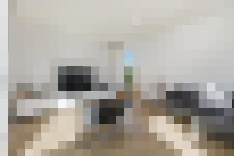 Pepermuntstraat 14 3600 Zwartebroek thumbnail 4
