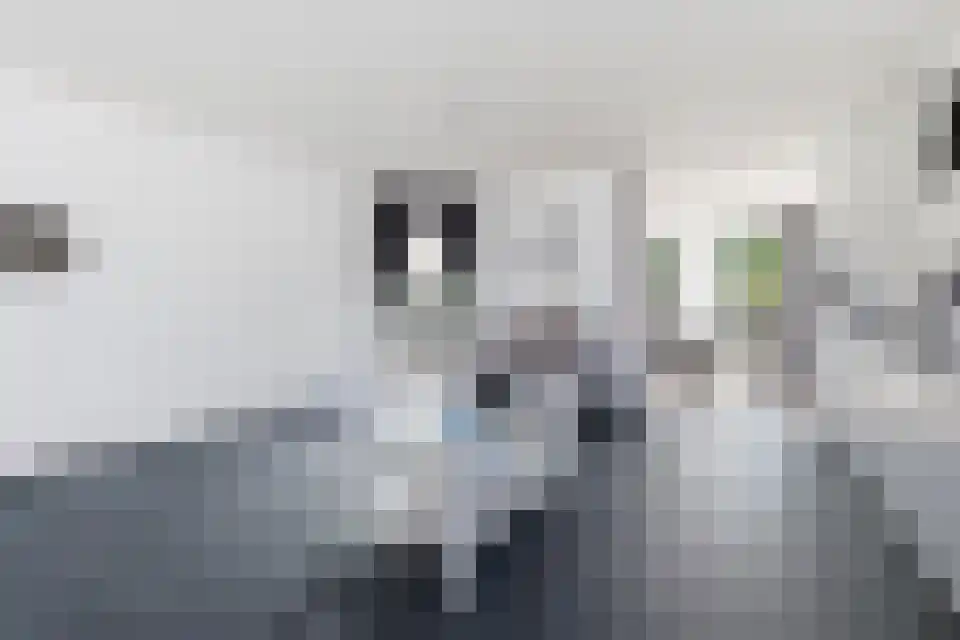 Pepermuntstraat 14 3600 Zwartebroek thumbnail 7