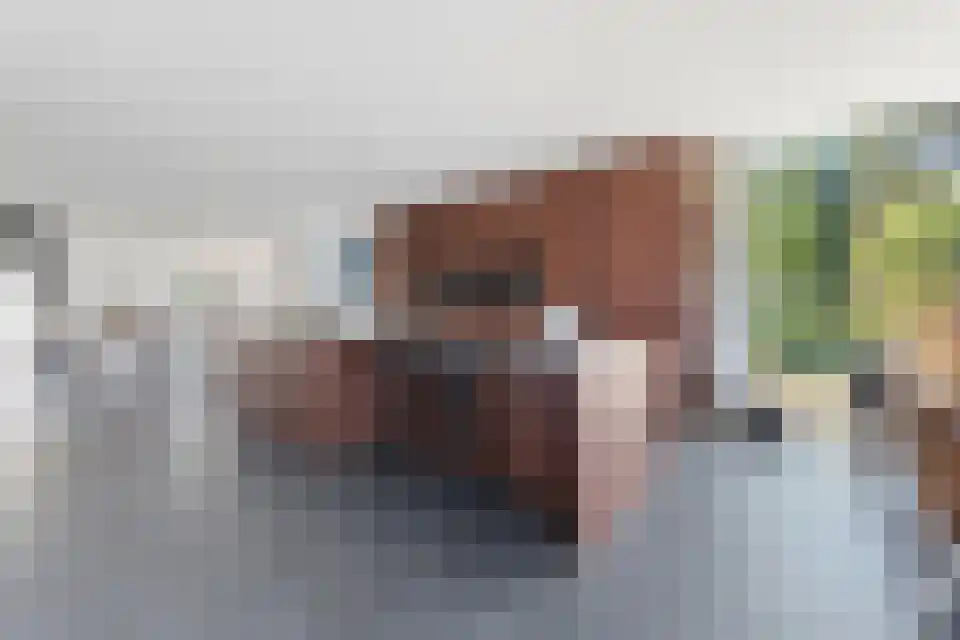 Pepermuntstraat 14 3600 Zwartebroek thumbnail 9