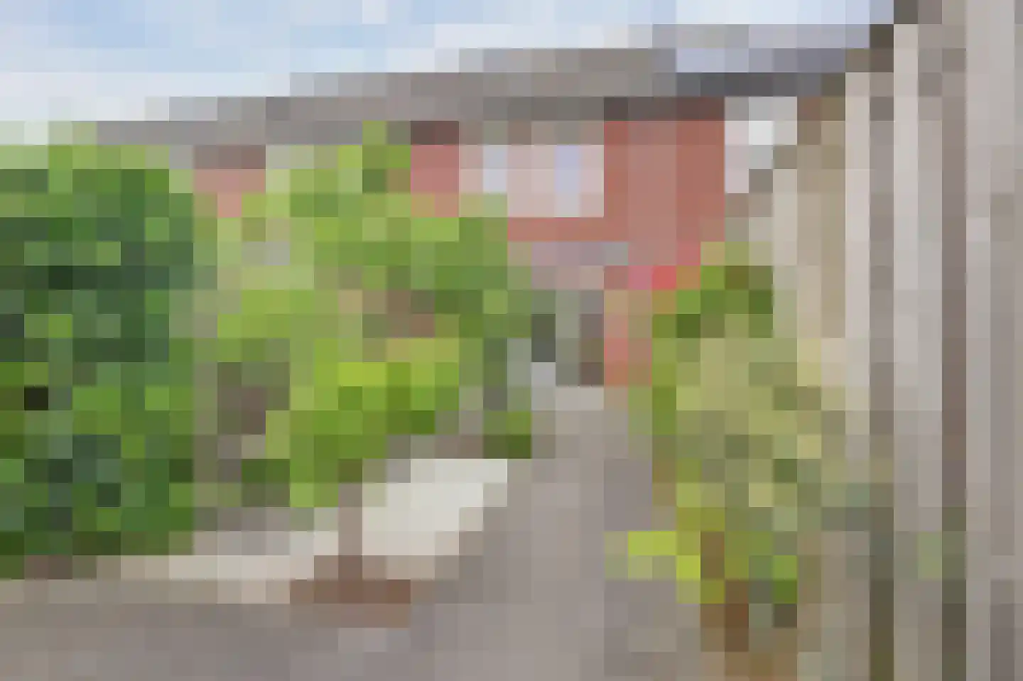 Pepermuntstraat 14 Heinkenszand thumbnail 26