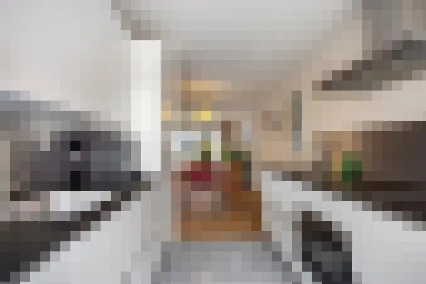 Pepermuntstraat 14 Utrecht thumbnail 10