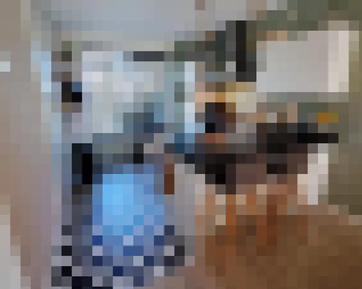 Pepermuntstraat 24 Heinkenszand thumbnail 4