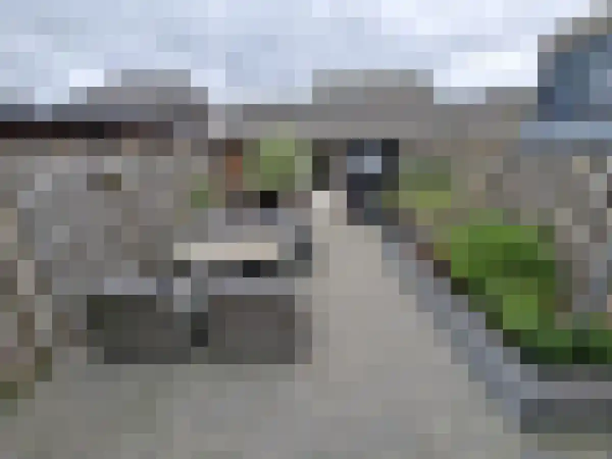Pepermuntstraat 24 Heinkenszand thumbnail 6