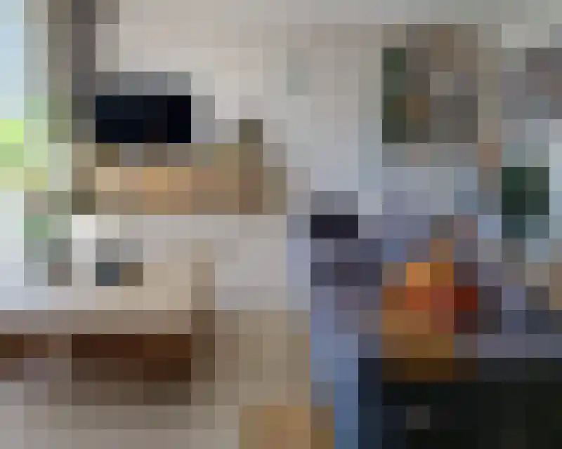 Pepermuntstraat 24 Heinkenszand thumbnail 8