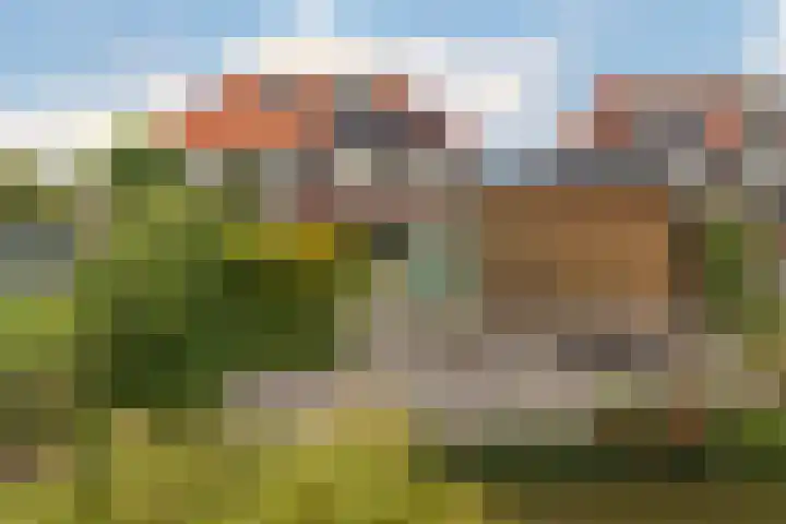 Pepermuntstraat 27 Wateringen thumbnail 29