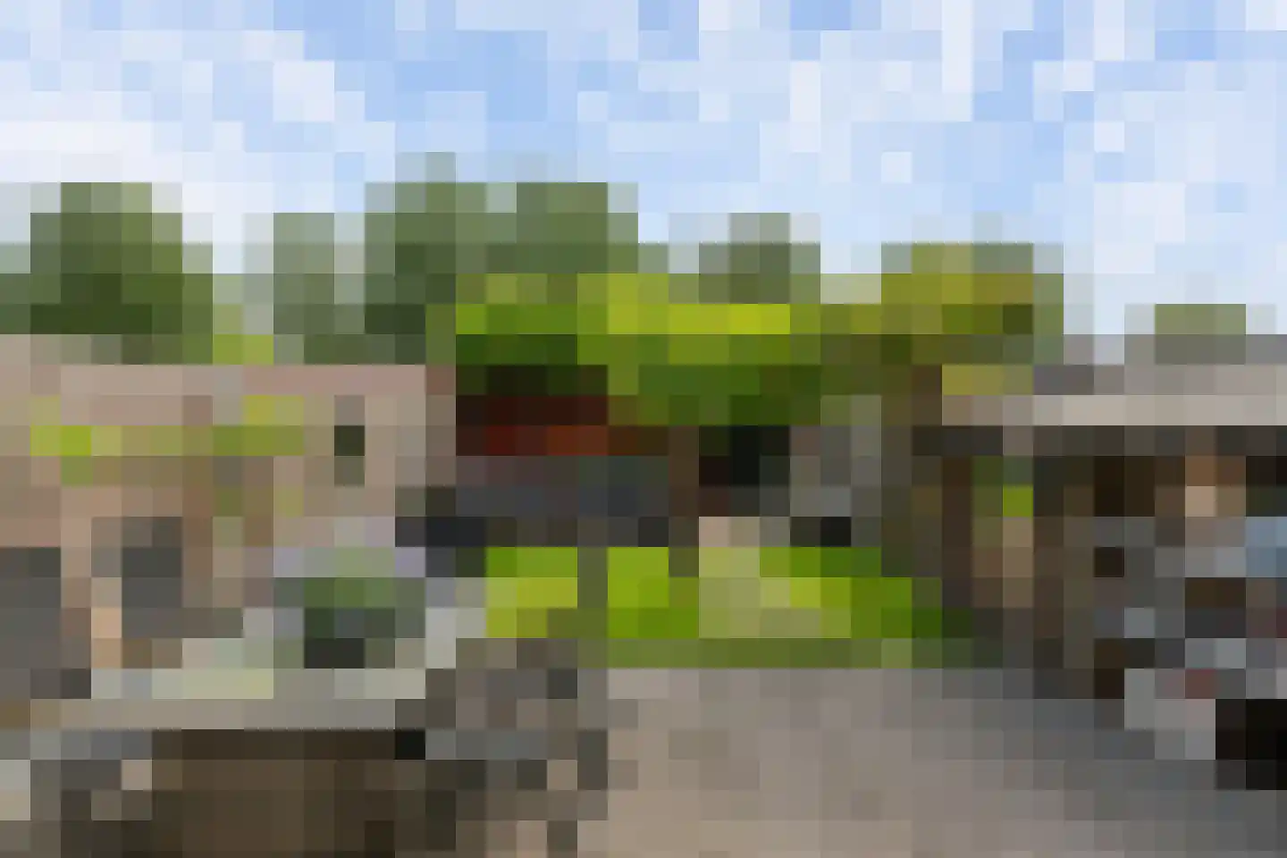 Pepermuntstraat 4 Wateringen thumbnail 11